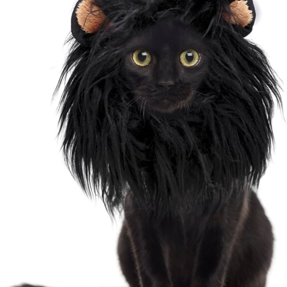New Black Lion Mane Costume for Cats